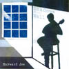 HAYWARD JOE: Shadows On The Wall