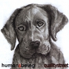 HUMANS BEING: Quality Street