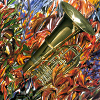 Hank C. Feldman : Tubesia
