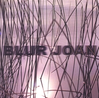 HEADLESS HOUSEHOLD: Blur Joan
