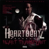 HEARTBEATZ: Heartransplant
