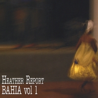 Heather Davis : Heather Report Bahia, Vol. 1