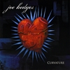 JOE HEDGES: Curvature