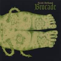 Scott Helland : Brocade