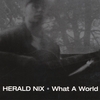 HERALD NIX: What A World