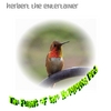 Herbert the Entertainer: The Flight of the Humming Bird - Single