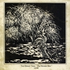 THE HERMIT TREE: The Hermit Tree
