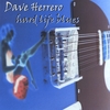 DAVE HERRERO: Hard Life Blues