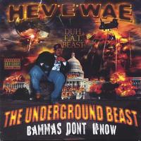 HEVEWAE DUH F.A.T . BEAST: The Underground Beast: Bammas Don't Know
