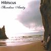 HIBISCUS: Shoreline Amity