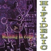 HIFIDELIC: Burning In Color