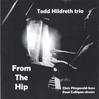 Todd Hildreth Trio : From The Hip