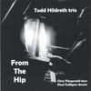 TODD HILDRETH TRIO: From The Hip