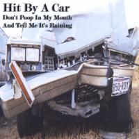 HIT BY A CAR: Don't Poop In My Mouth and Tell Me It's Raining