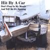 HIT BY A CAR: Don't Poop In My Mouth and Tell Me It's Raining