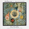 SUE HOADLEY: Stillpoint--Music for Tranquility