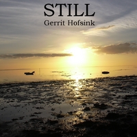 Gerrit Hofsink : Still