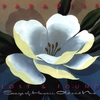 VARIOUS ARTISTS: Paradise Lost & Found