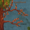 HONEYBREATH: Overcoat