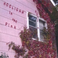 HOOLIGAN BAND: In The Pink