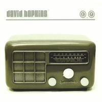 DAVID HOPKINS: Scared Rabbit EP