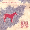 HORSE IN THE SEA: I Order The Sun To Shine On Everyone