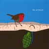 The Hotwalls: The Hotwalls