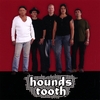 HOUNDS TOOTH: Hounds Tooth