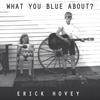 ERICK HOVEY: What You Blue About?
