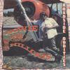 HOWIE AND THE HILLCATS: Roadside Oddities