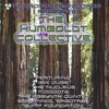 VARIOUS ARTISTS: The Humboldt Collective