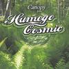 HUMEGO COSMIC: Canopy