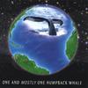 PAUL KNAPP JR.: One and Mostly One Humpback Whale