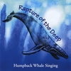 PAUL KNAPP JR.: Rapture of the Deep - Humpback Whale Singing