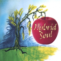 Hybrid Soul : Hybrid Soul