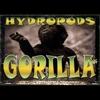HYDROPODS: Gorilla and Poems of Pretense