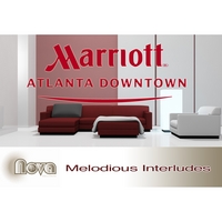 IAN ALLEN: Marriott Atlanta Downtown "Melodious Interludes"
