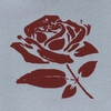 IAN MOUSER: A Rose Revolution