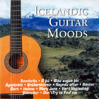 Icepan : Icelandic Guitar Moods