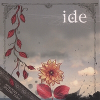 ide : apologies for spilling paint