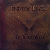 IF YOU WILL: Flight Plan