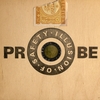 ILLUSION OF SAFETY: Probe