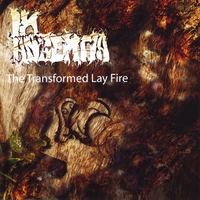 In Absentia : The Transformed Lay Fire