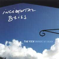 INCIDENTAL BLISS: The View Inside My Mind