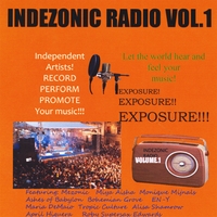 Various Artists : Indezonic Radio, Vol. 1