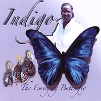 Indigo : The Emerging Butterfly