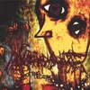 INFANDOUS: Rotting Decaying Festering
