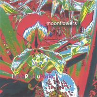 InfraRed Uforia : moonflowers I