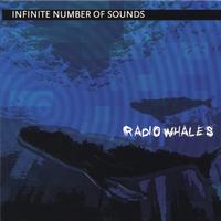 INFINITE NUMBER OF SOUNDS: Radio Whales