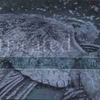 intricated : a:void
